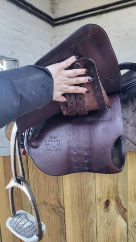 Sella da salto ostacoli Forestier  18" - 2023