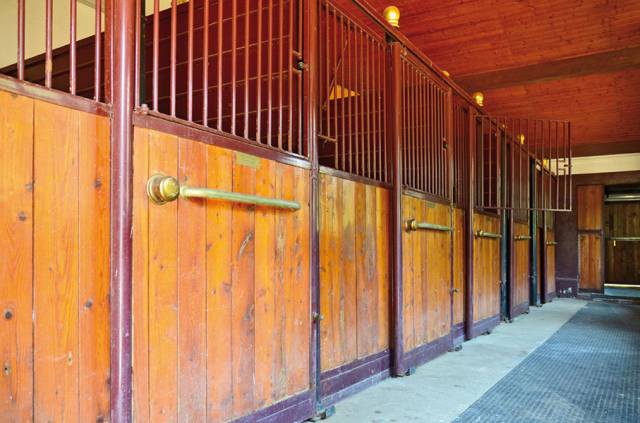 Scuderie e area recintata equestre con villa e piscina
