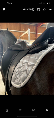Sella da dressage Childeric  17.5" - 2019