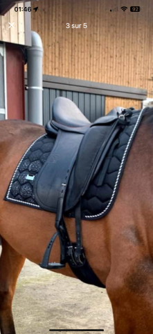 Sella da dressage Childeric  17.5" - 2019