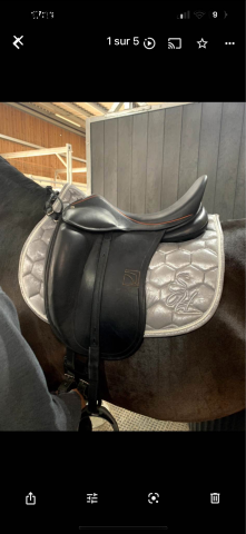 Sella da dressage Childeric  17.5" - 2019
