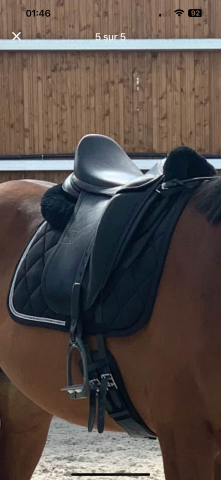 Sella da dressage Childeric  17.5" - 2019