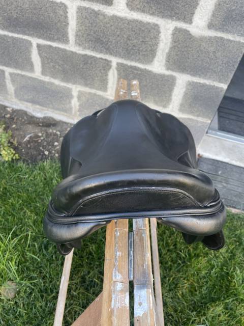 Sella da salto ostacoli Time Rider  17" - 2018