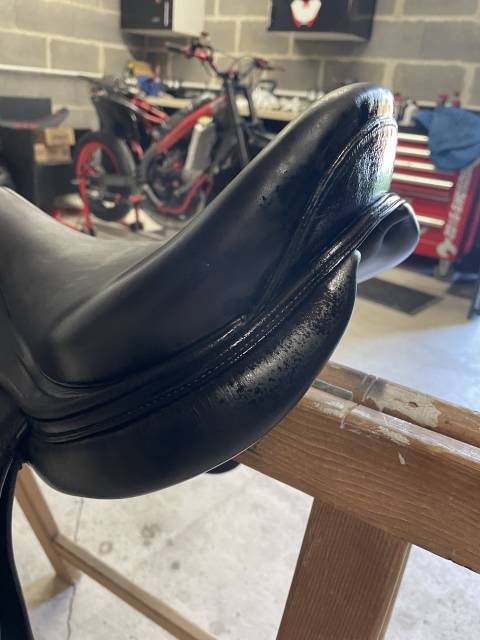 Sella da salto ostacoli Time Rider  17" - 2018