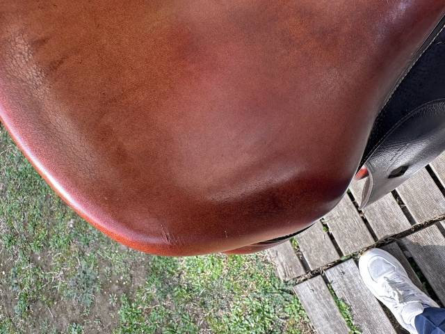 Sella da salto ostacoli Antarès obstacle 17" - 2006