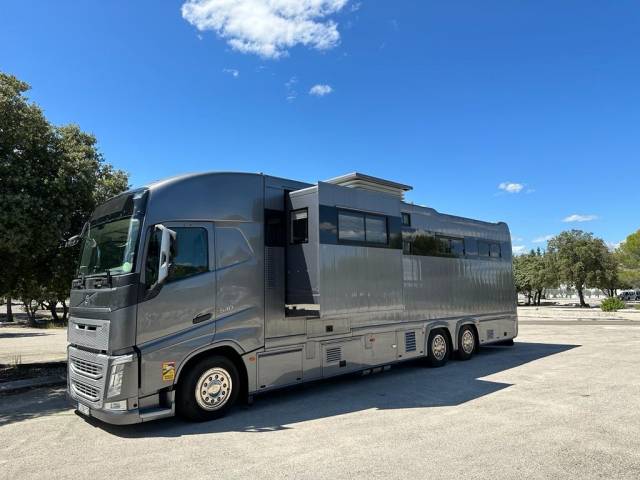 Camion per Cavalli STX  2015 Occasione