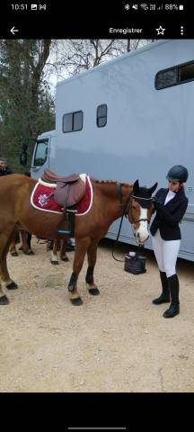 Sella mista Eric Thomas  17" - 2021