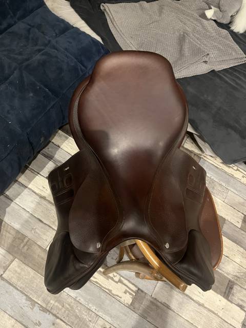 Sella da salto ostacoli GBS  17.5" - 2024