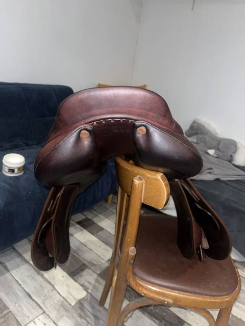 Sella da salto ostacoli GBS  17.5" - 2024