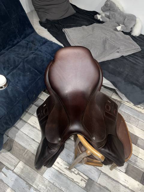 Sella da salto ostacoli GBS  17.5" - 2024