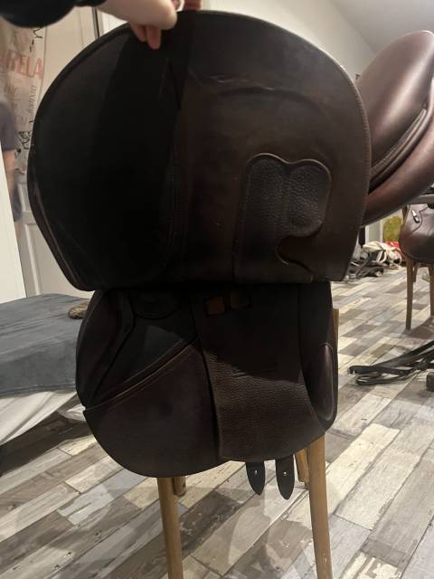 Sella da salto ostacoli GBS  17.5" - 2024