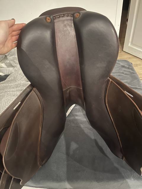 Sella da salto ostacoli GBS  17.5" - 2024