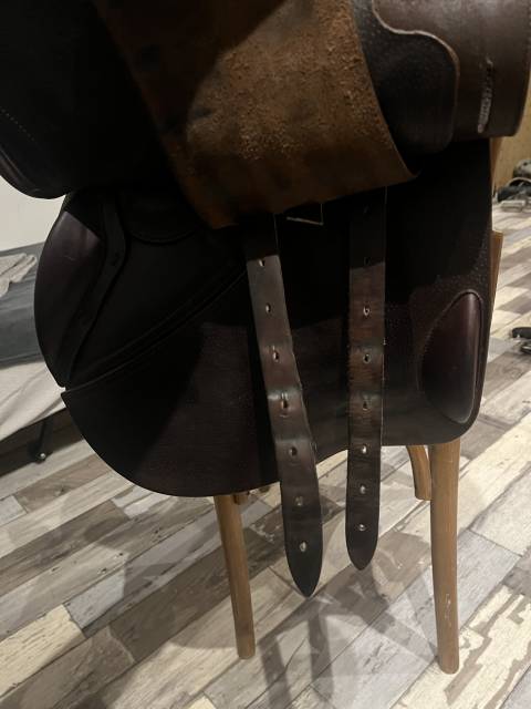 Sella da salto ostacoli GBS  17.5" - 2024