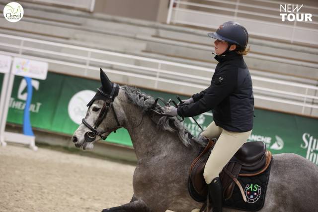 Castrone Altre Razze di Pony Noleggio 2020 Grigio