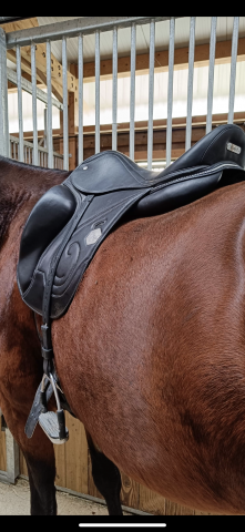 Sella da dressage Time Rider  17.5" - 2022
