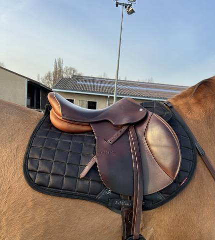 Sella mista Jump in One  17" - 2020