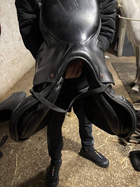 Sella mista Prestige Italia  17" - 2013