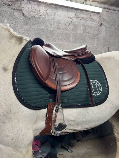 Sella da salto ostacoli Meyer Selle unique, pas de modèle  17" - 2024