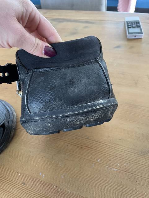  Equine Fusion Occasione