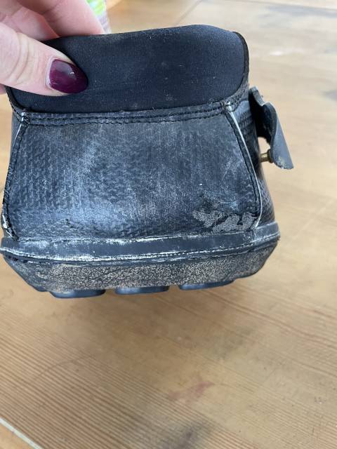  Equine Fusion Occasione