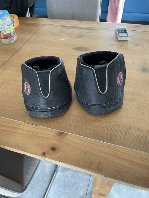  Equine Fusion Occasione