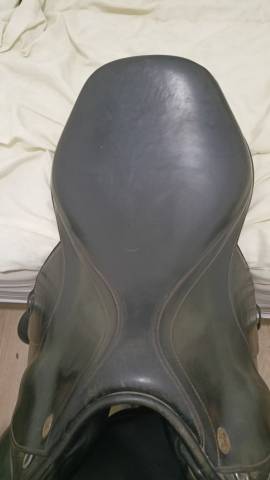 Sella mista Prestige Italia  17.5" - 2013