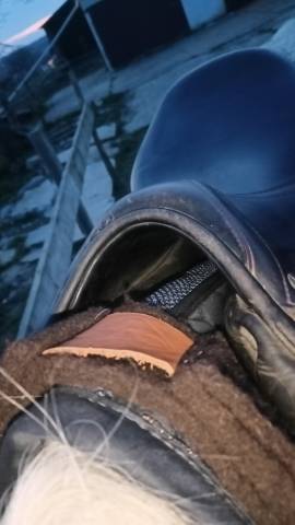 Sella mista Prestige Italia  17.5" - 2013