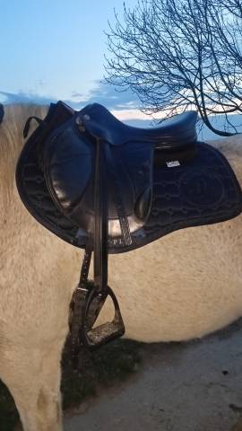 Sella mista Prestige Italia  17.5" - 2013