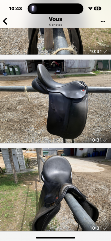 Sella da dressage Albion  17.5" - 2016