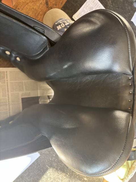 Sella da dressage Albion  17.5" - 2016