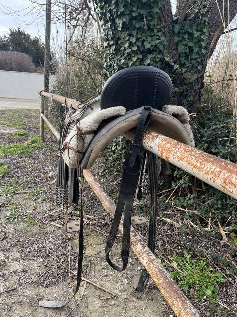 Sella da vaquera Marjoman  17" - 2014