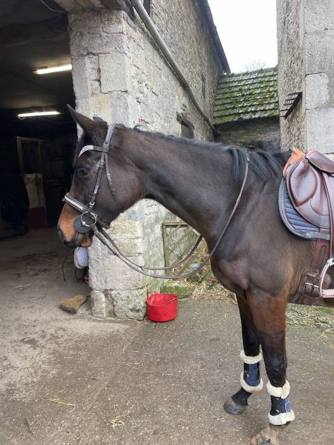  - Altra Marca - Occasione