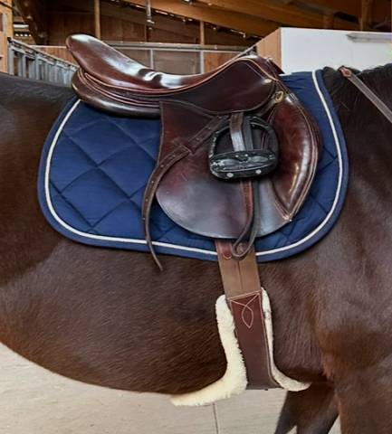 Sella mista Eric Thomas Compétition  18" - 2019