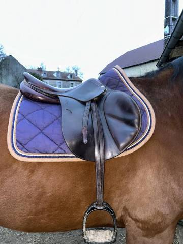 Sella mista Antar&egrave;s  17.5" - 2017