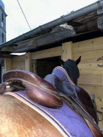 Sella mista Antar&egrave;s  17.5" - 2017