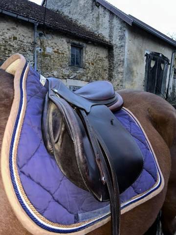 Sella mista Antar&egrave;s  17.5" - 2017