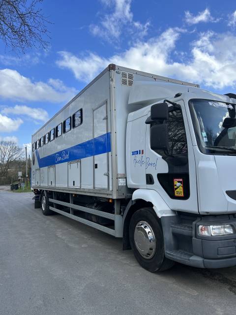 Camion per Cavalli Renault  2011 Occasione