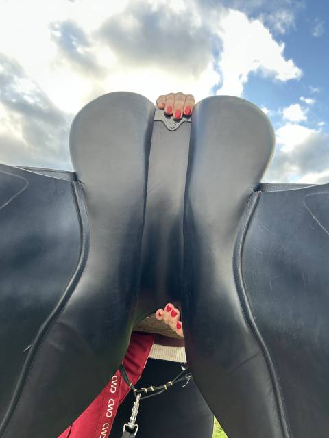 Sella da salto ostacoli CWD  17.5" - 2019