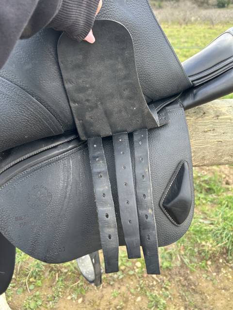 Sella da salto ostacoli CWD  17.5" - 2019