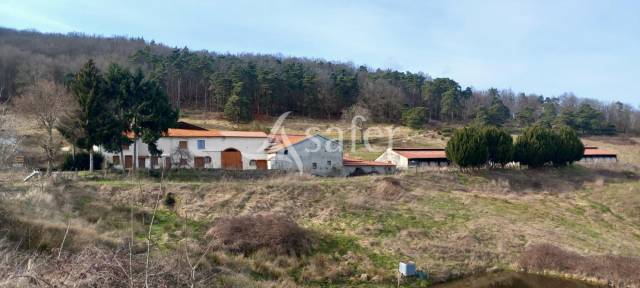 Azienda ovina In vendita Loire