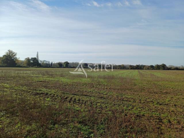 Azienda agricola In vendita Dordogne