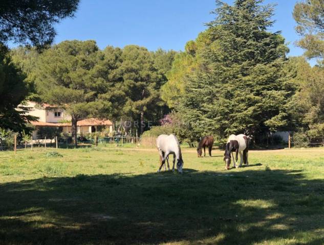 Bella dimora equestre In vendita Bouches-du-Rhône