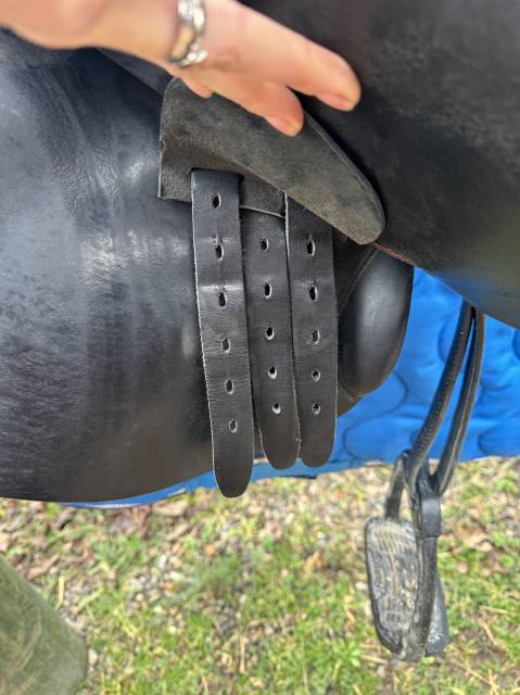 Sella da salto ostacoli Childeric  17.5" - 2019