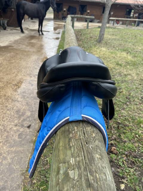 Sella da salto ostacoli Childeric  17.5" - 2019