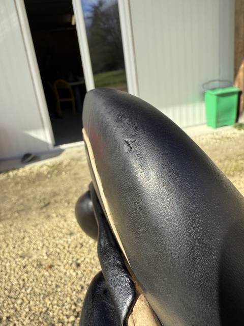 Sella da salto ostacoli CWD  17" - 2019