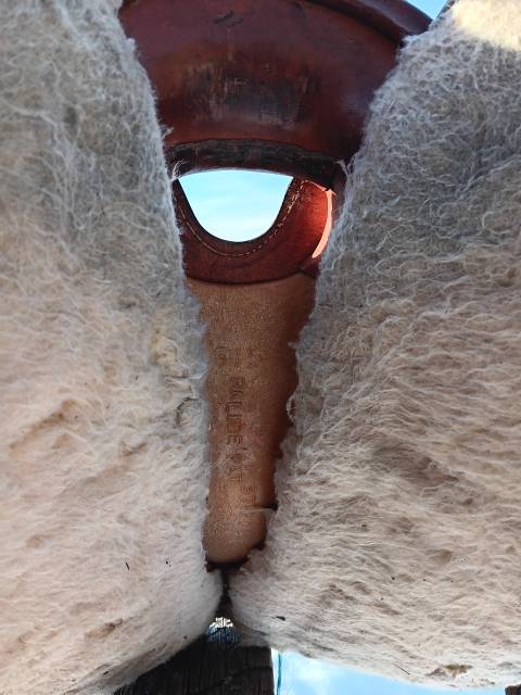 Sella western   15.5" - 2010