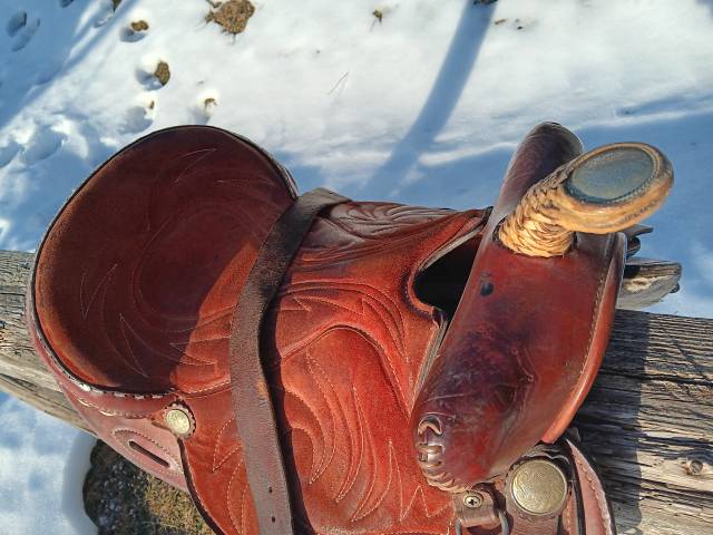 Sella western   15.5" - 2010