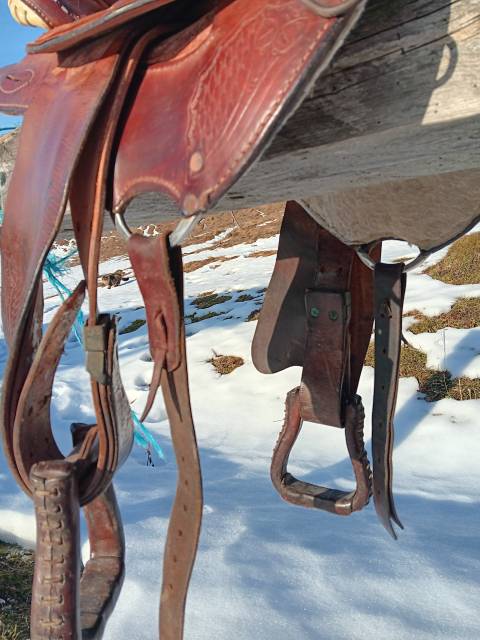 Sella western   15.5" - 2010