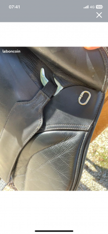 Sella mista KENT & MASTERS Haut Garrot 17" - 2020