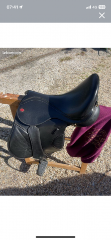 Sella mista KENT & MASTERS Haut Garrot 17" - 2020